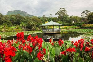 Wollongong Botanic Garden